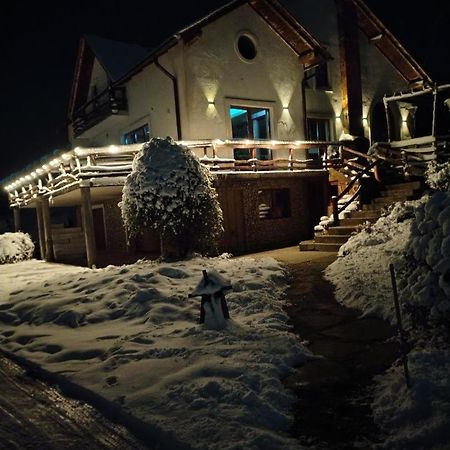 Vis Pension Viile Satu Mare Buitenkant foto