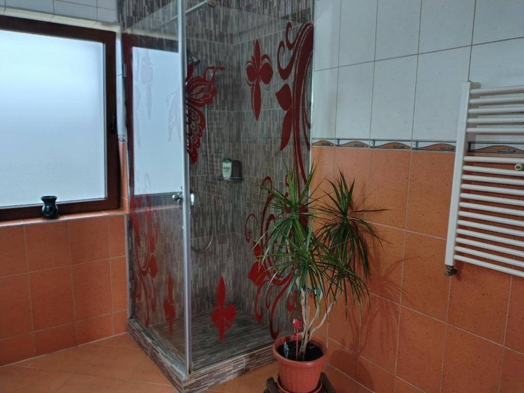 Vis Pension Viile Satu Mare Buitenkant foto