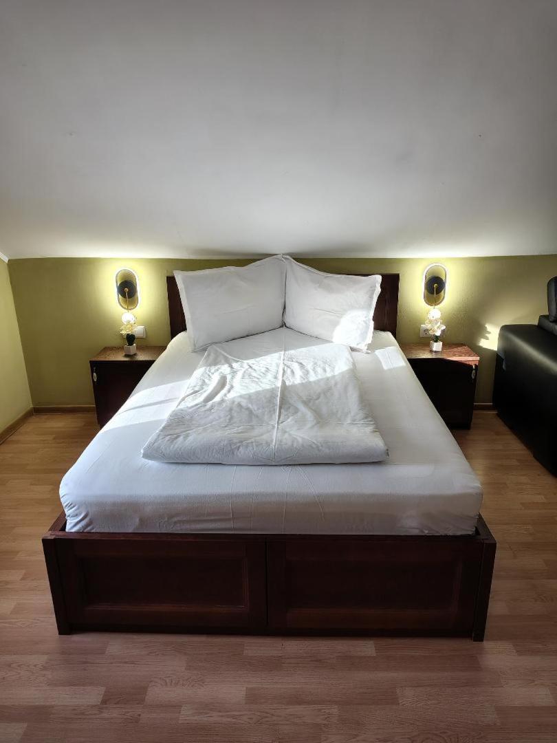Vis Pension Viile Satu Mare Buitenkant foto
