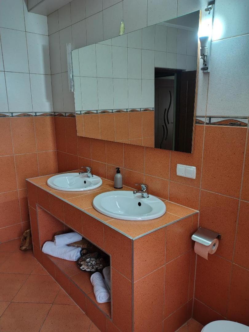 Vis Pension Viile Satu Mare Buitenkant foto