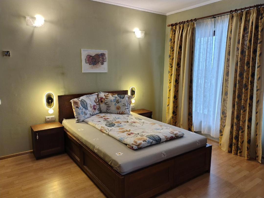 Vis Pension Viile Satu Mare Buitenkant foto