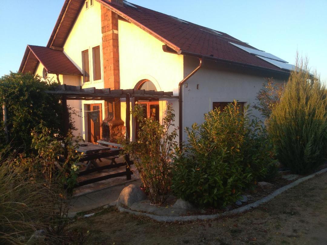 Vis Pension Viile Satu Mare Buitenkant foto
