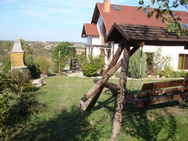 Vis Pension Viile Satu Mare Buitenkant foto