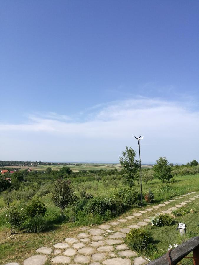 Vis Pension Viile Satu Mare Buitenkant foto