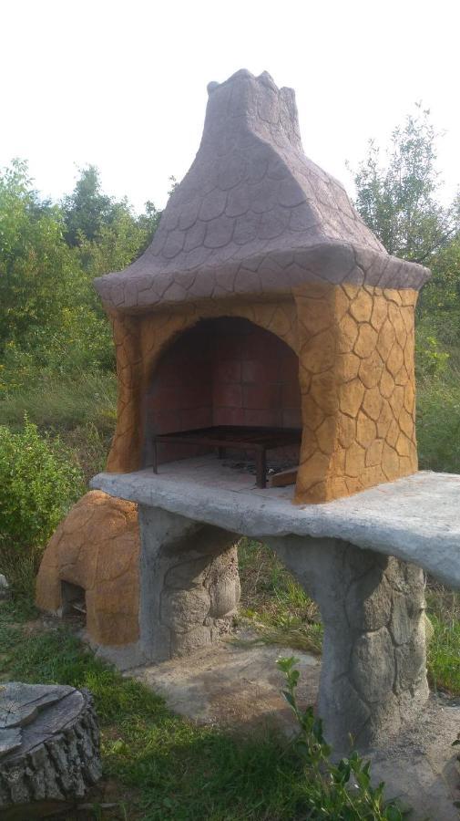 Vis Pension Viile Satu Mare Buitenkant foto