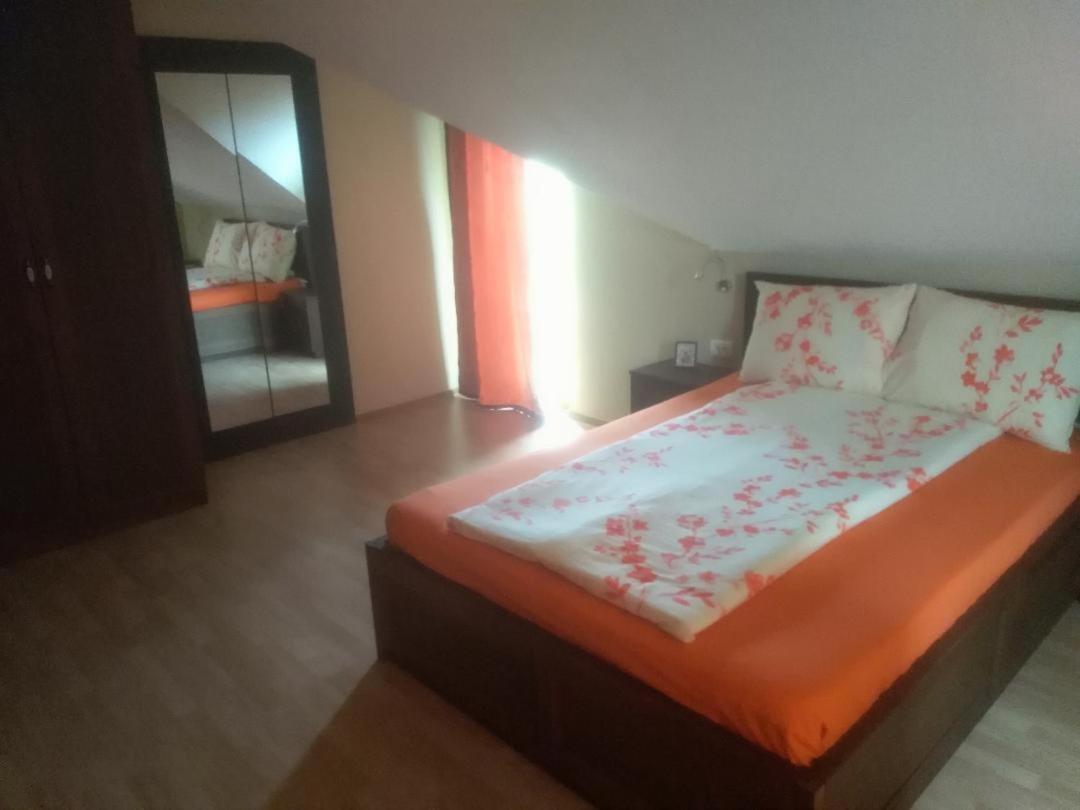 Vis Pension Viile Satu Mare Buitenkant foto